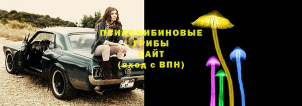 мет Нефтекумск