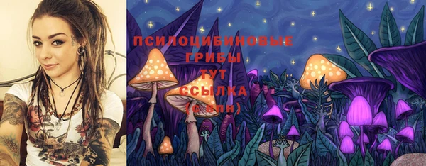 синтетический гашиш Нефтегорск