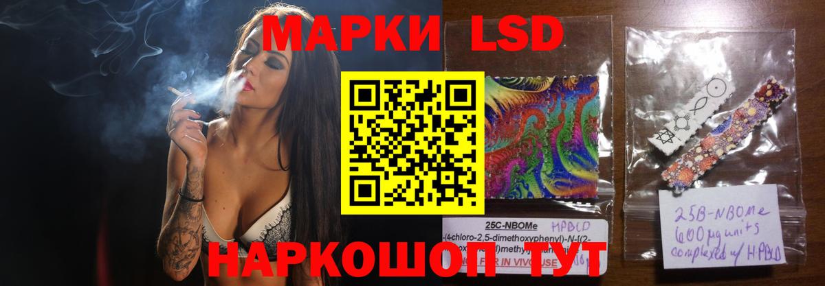  COCAIN Ярославль
