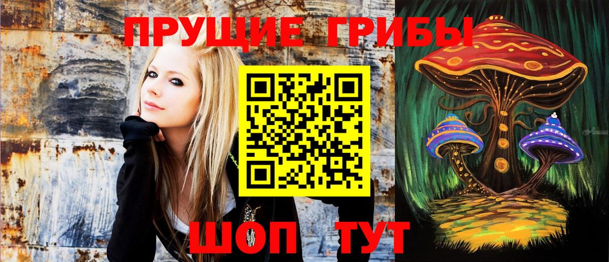 Галлюциногенные грибы мухоморы  Ярославль 