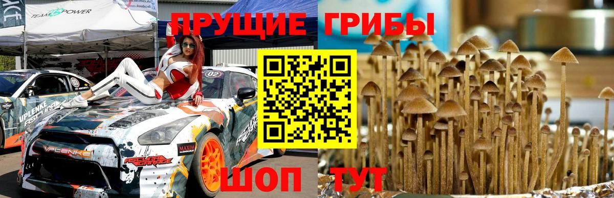 Галлюциногенные грибы мицелий Ярославль