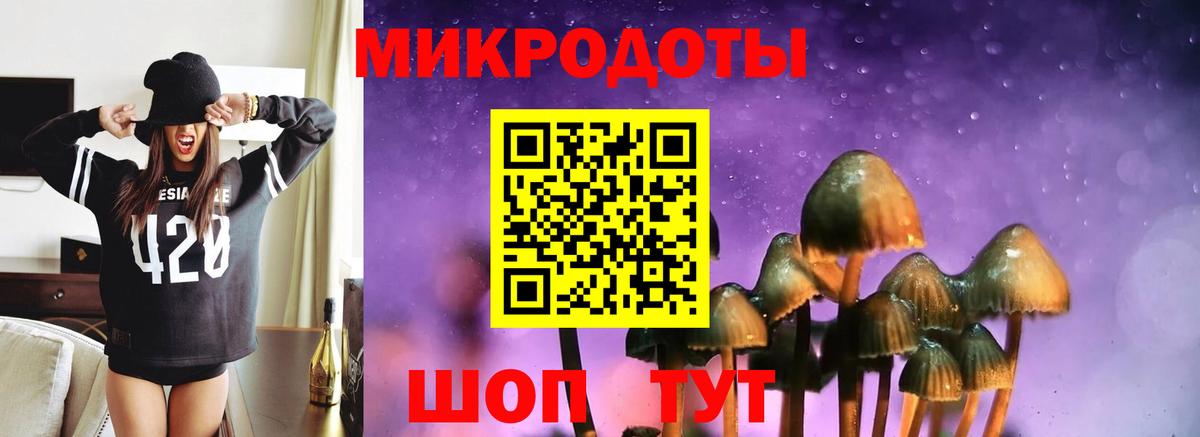 Ярославль  Псилоцибиновые грибы Magic Shrooms  где найти   Вход с VPN 