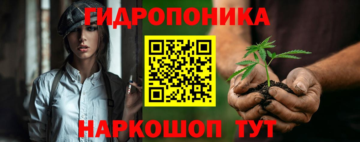 Шишки марихуана тримм  Марихуана VHQ  Вход с VPN  Бошки Шишки Bruce Banner  Конопля ГИДРОПОН  Ярославль 